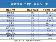 云南城投甩卖11家公司股权，沈国军只回购1家