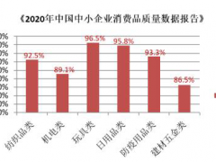 海峡消费报携手HQTS汉斯曼集团  发布2020年中小企业消费数据报告