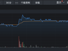 美好置业：刘道明选定接班人 其女刘南希增持公司股权至8.46%