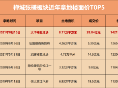 29亿摘地首入佛山，大华拿地决心的背后