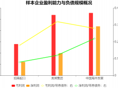 龙湖集团高流通市值的财务解析