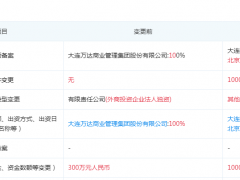 武汉SKP项目股权变更：万达持股58%高于北京华联仍为大股东