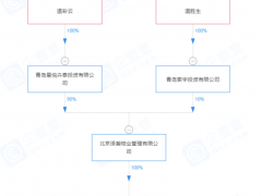 交易价5.7亿，乐视大厦被注册仅5天的神秘企业拍走！