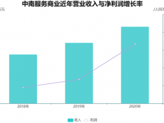 IPO加速！中南服务商业的纽带与解绑