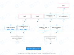 王思聪首次涉足地产！入股四川天府万达建设发展