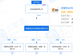 22倍PE！“国家队”华润万象生活大手笔吞并禹洲物业