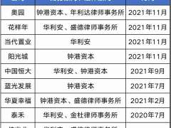 地产“军师”：华利安、钟港资本等获青睐，但内驱力的自救是关键