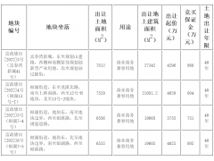 总价超1.6亿元，浙江杭州挂牌4宗商务金融用地