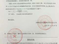 2万元都还不起？I DO钻戒母公司被申请破产，创始人为李湘前夫